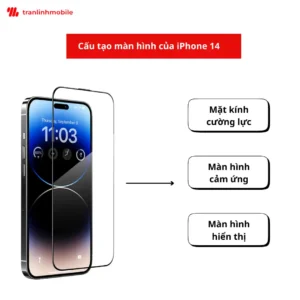 Cấu tạo màn hình của iPhone 14 gồm 3 lớp: cường lực, màn hình cảm ứng, màn hình hiển thị